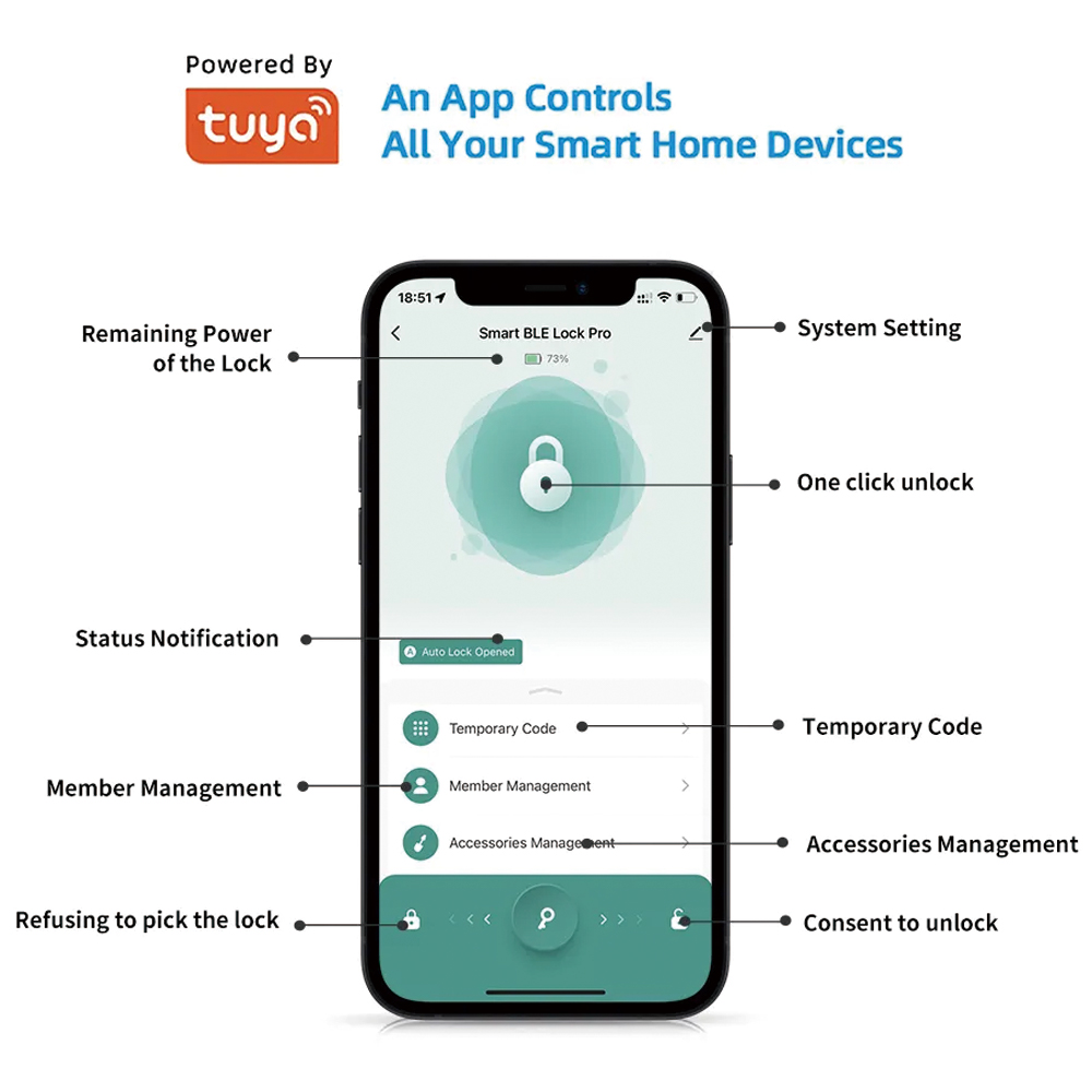 TYSH Tuya Smart Automatic Secu - Smart Door Lock Wifi review and price